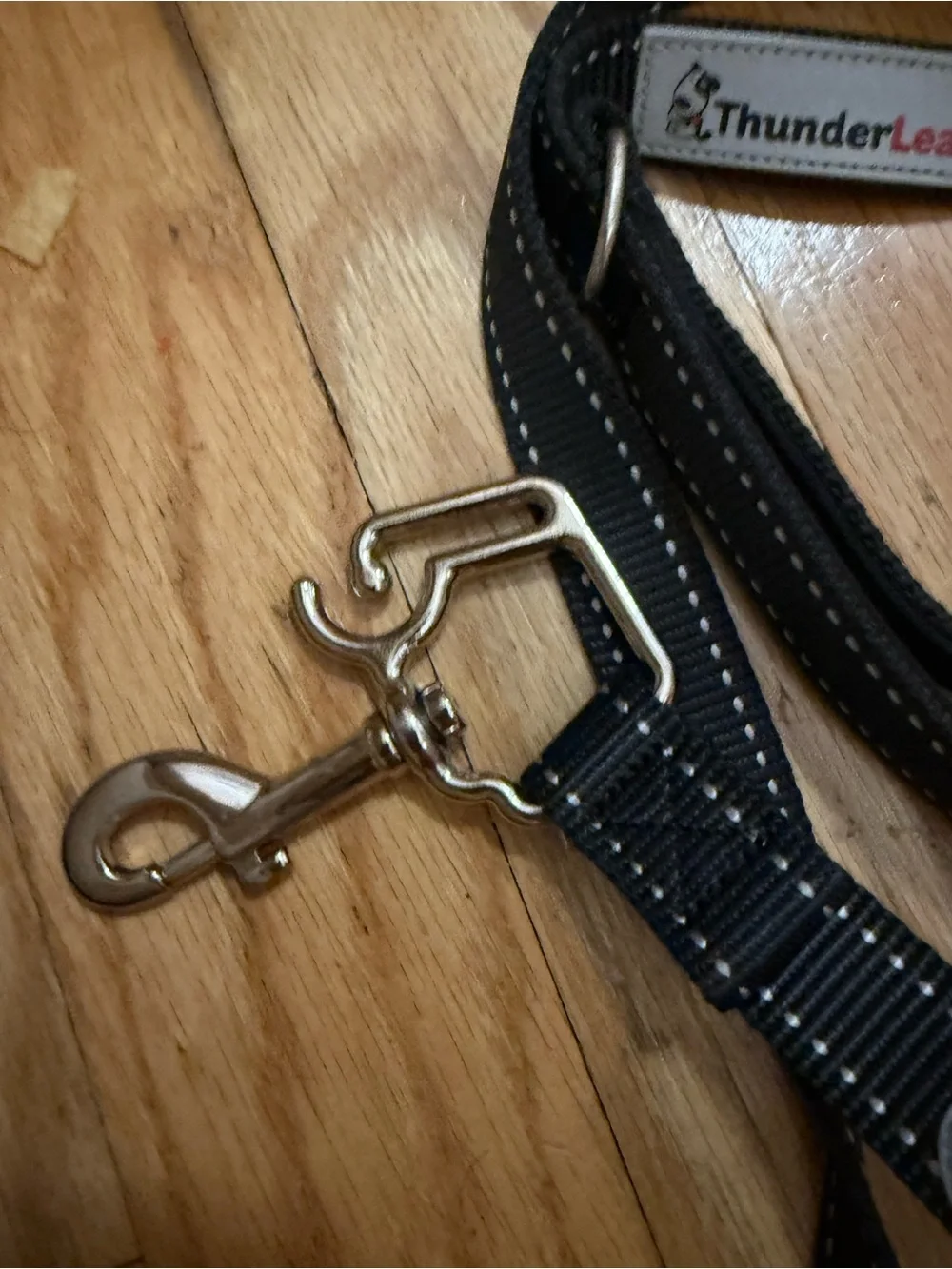 Thunder leash dog leash large